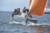 sx panther gbr1974n whyw24 thur 750 9341